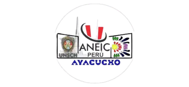Logo de ANEIC UNSCH