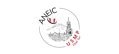 Logo de ANEIC USMP
