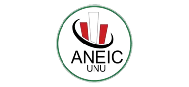 Logo de ANEIC UNU