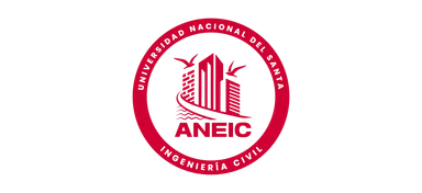 Logo de ANEIC UNS