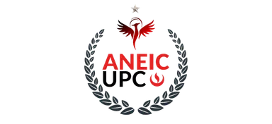 Logo de ANEIC UPC