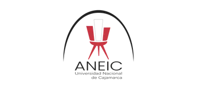 Logo de ANEIC UNC